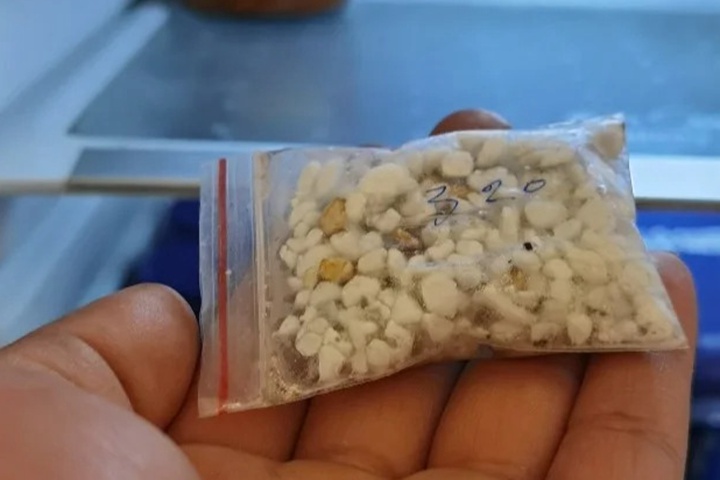 蔷薇花种子多久发芽