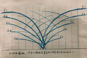藤本月季的修剪和牵引详细攻略