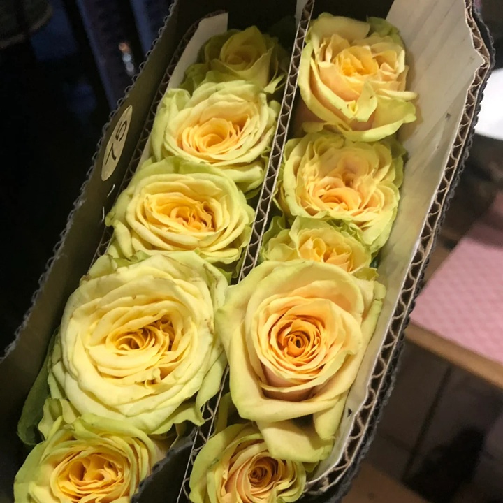 奇迹花园