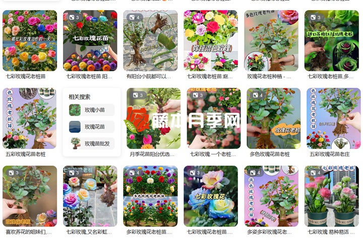花卉界的奇葩假货植物大盘点