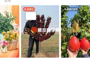 花卉界的奇葩假货植物大盘点
