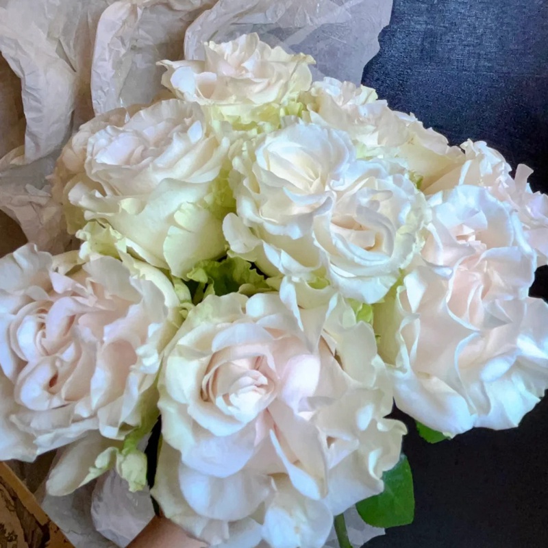 棉花表达 COTTON EXPRESSION