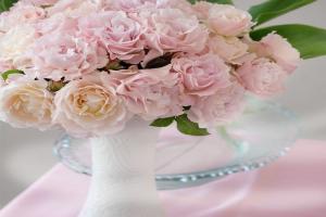 月季新婚/新娘优缺点全解析