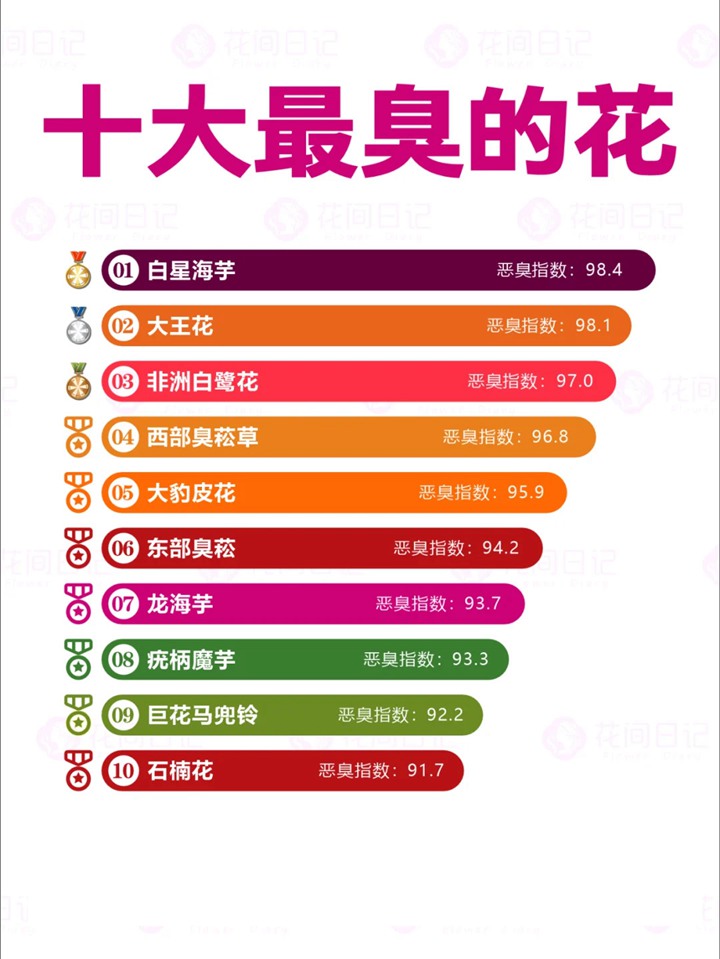 世界上最大最臭的花