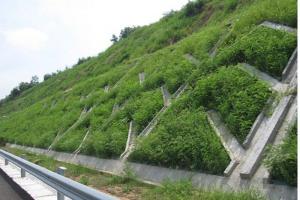 植草护坡包工包料多少钱？