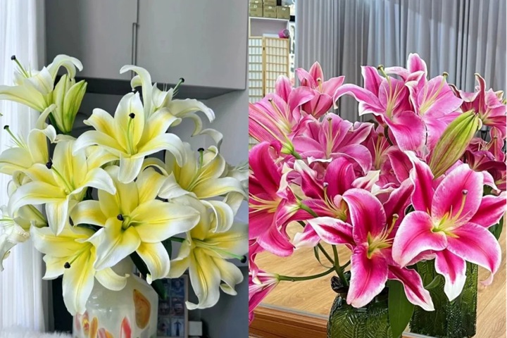 香水百合花有毒吗？