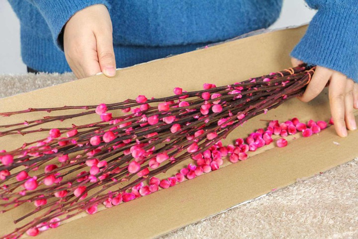 银柳的花语和寓意是什么?