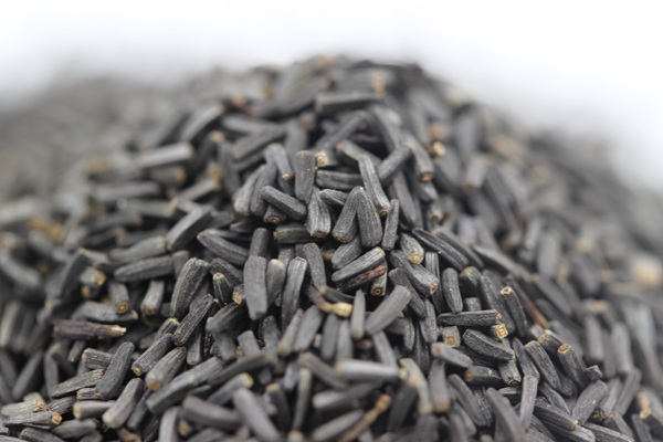 黑心金光菊的花期有多长