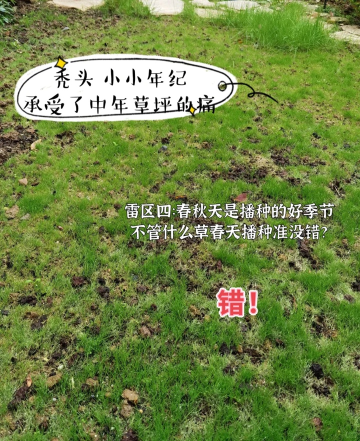 1757745687331856.jpg 草坪播种需要避开的四个雷区
