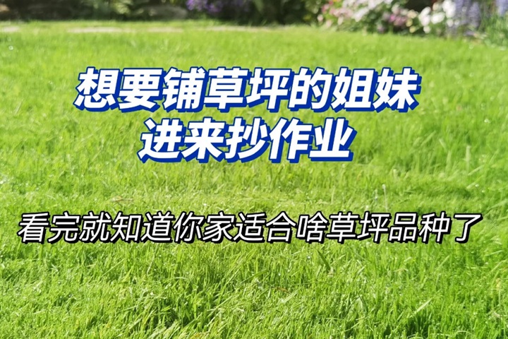 江浙沪地区草坪品种如何来选择