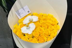 黄玫瑰的花语是什么(不同朵数的意义)