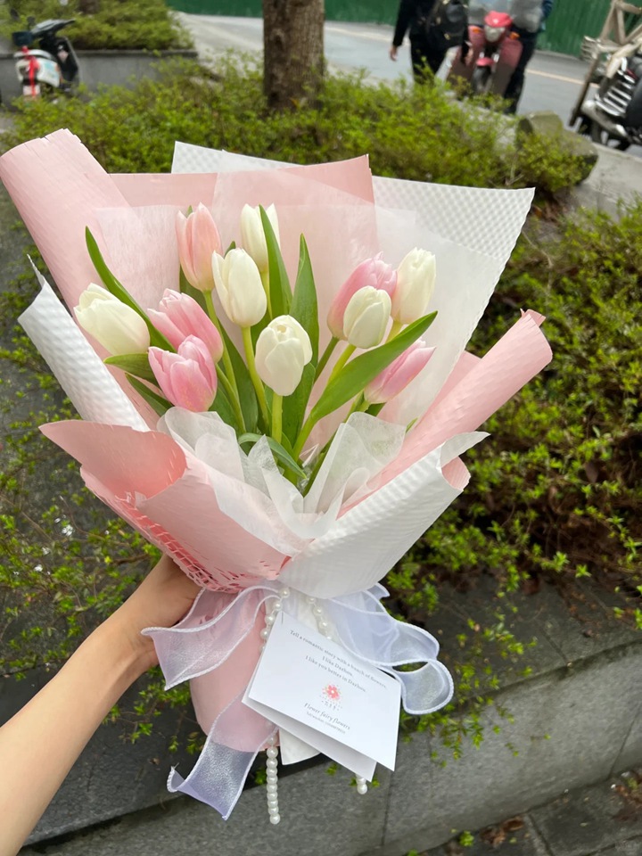 1764744853374273.jpg 郁金香的花语和象征意义