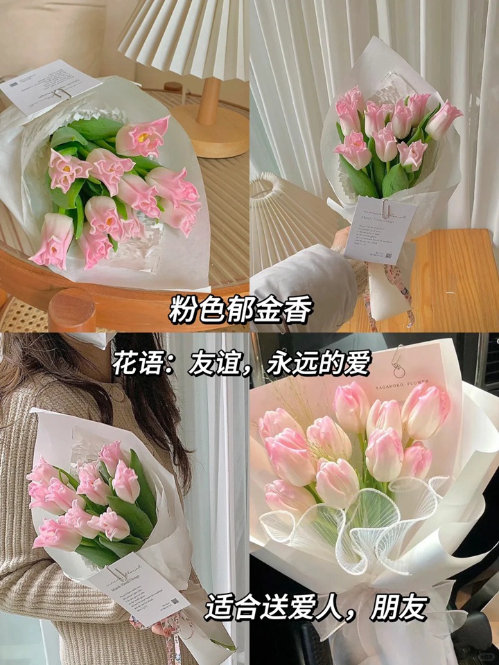 1764744872691698.jpg 郁金香的花语和象征意义