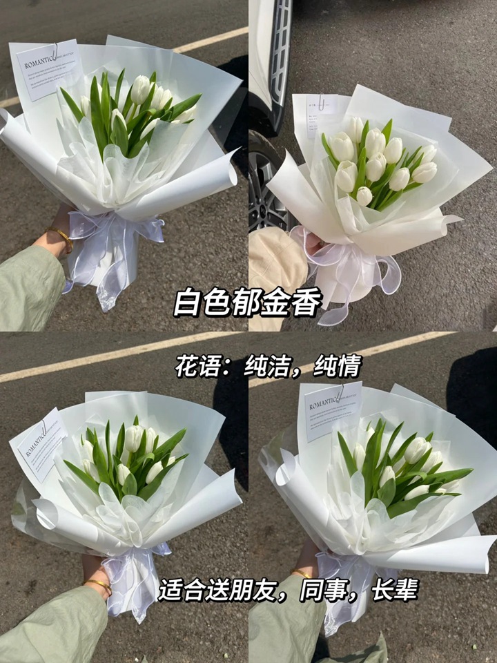 1764744884322552.jpg 郁金香的花语和象征意义