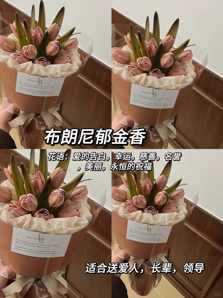 1764744898559988.jpg 郁金香的花语和象征意义