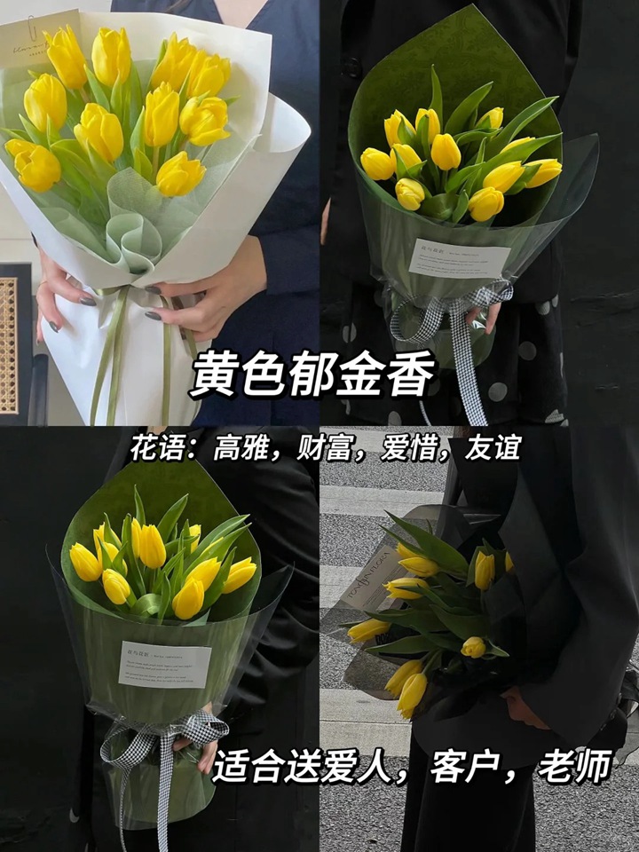 1764744933281897.jpg 郁金香的花语和象征意义