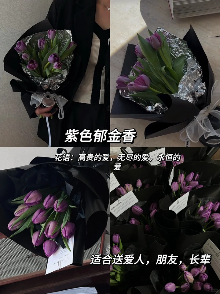 1764744951737171.jpg 郁金香的花语和象征意义