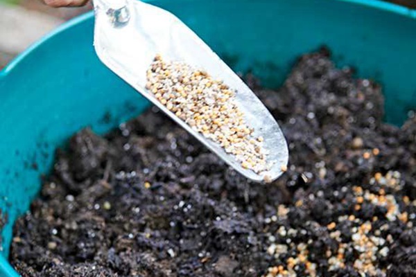 月季基肥冬天施和春天施有什么不同