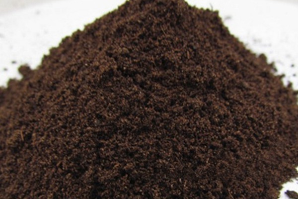 1765345496562099.jpg 月季休眠期怎么施肥好