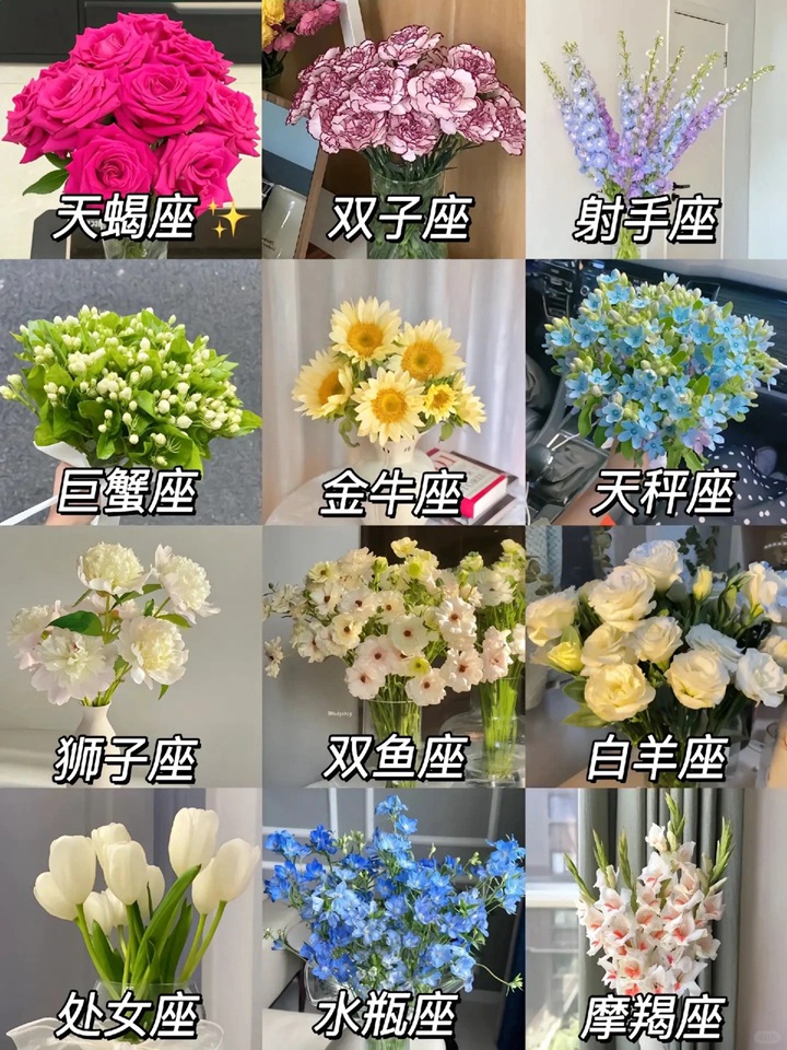 1766113435222549.jpg 十二星座的守护花