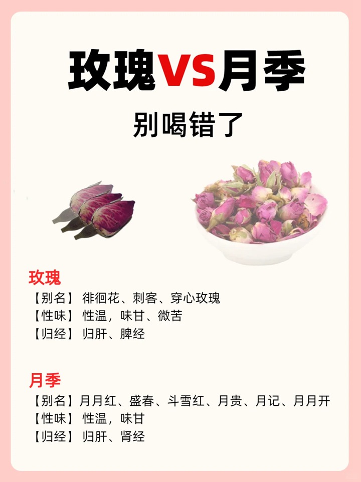 月季花能不能食用