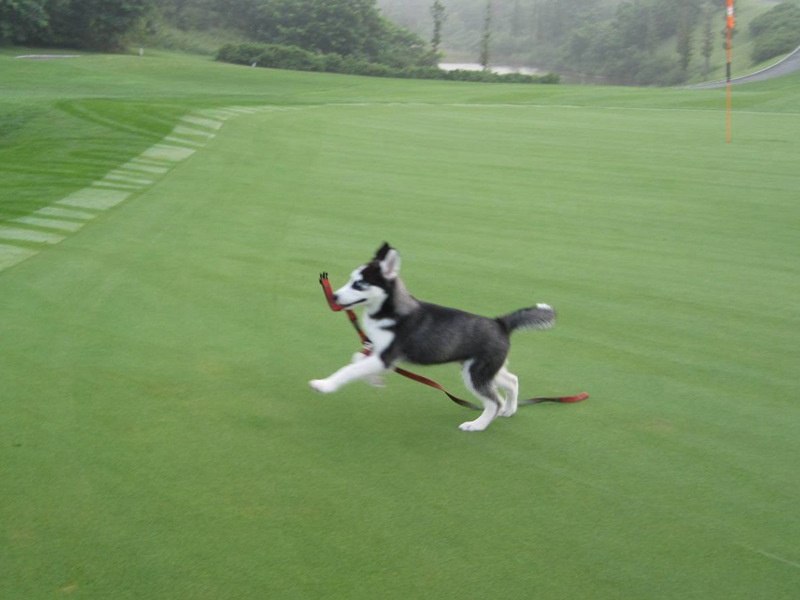 1766629710274558.jpg 护坡绿化用什么草种