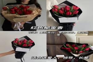 郁金香的花语和象征意义