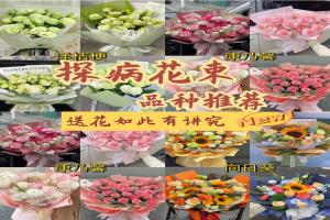 看病人送什么花