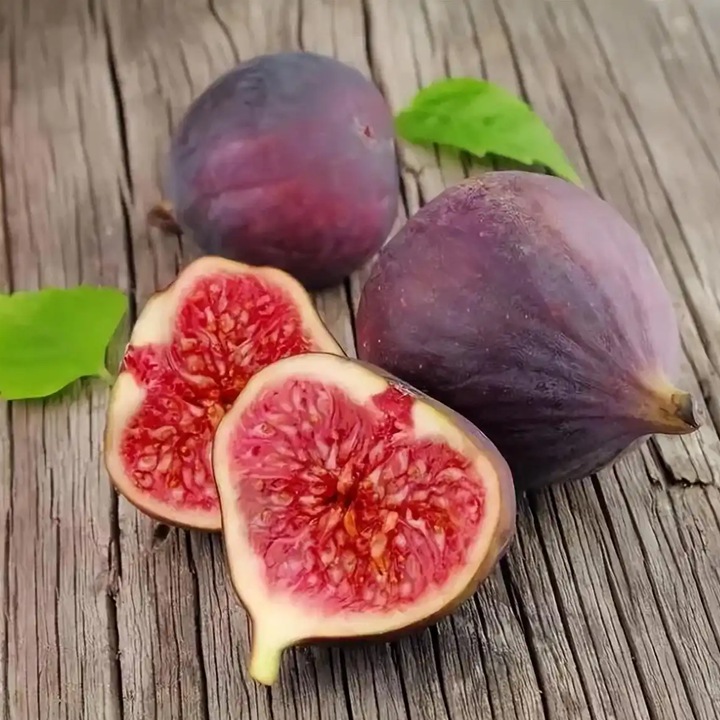 无花果为什么叫无花果