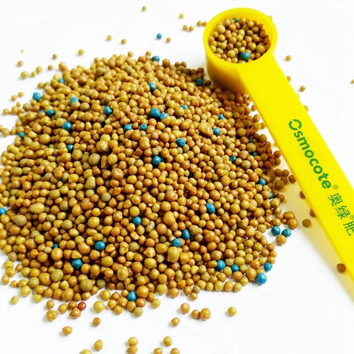 1767925193237362.jpg 月季最好的肥料是哪种