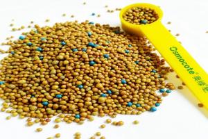 月季最好的肥料是哪种