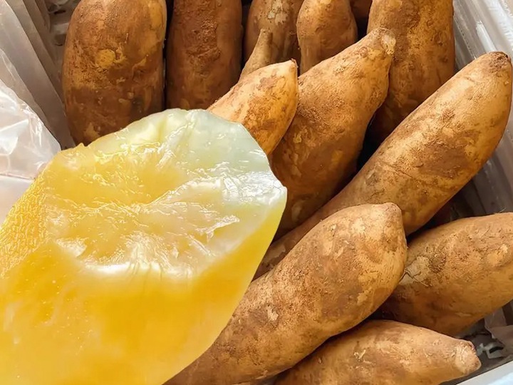 雪莲果有什么功效和作用