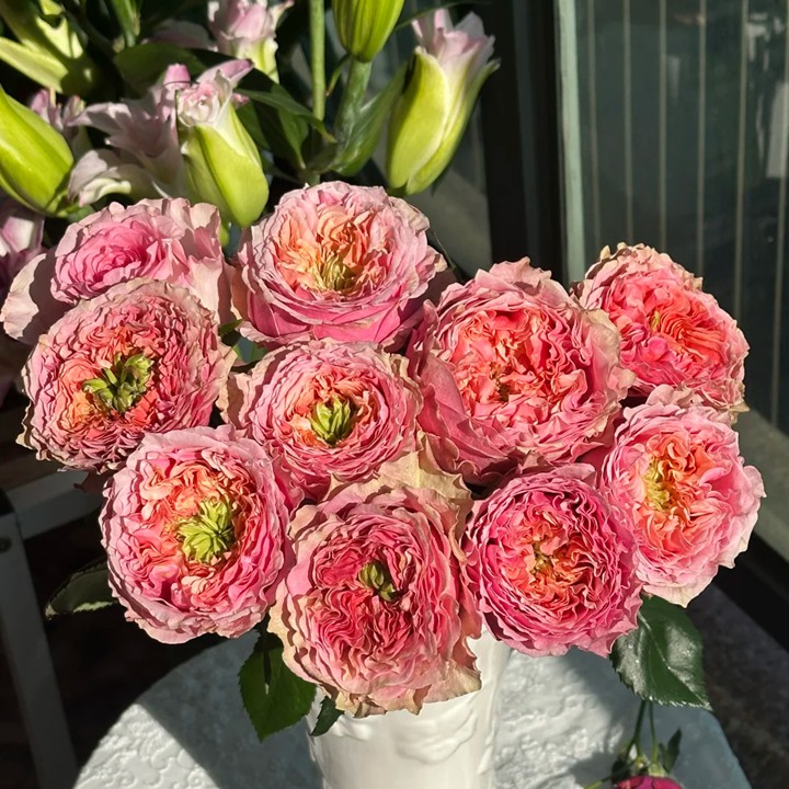1779584523982820.jpg 甜蜜之眼 Sweet Eyes