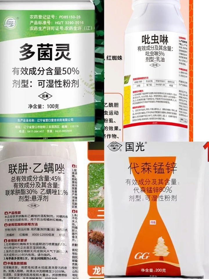 养月季你需要准备哪些药？