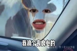深扒网红“毒营养土”黑幕：月销10万单的浙大创业公司，如何把工业污泥卖进千万家庭？