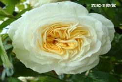 克拉伦斯宫Clarence House