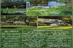 花园草坪用什么品种好