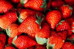 草莓品种哪个好吃,草莓品种怎么选择