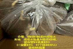 大丽花冬天会冻死吗