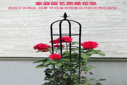 藤本月季和铁线莲花柱用花架(送10元优惠卷)