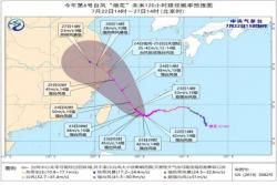 台风天气，花卉养护需要注意些什么？