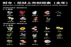 一月到十二月的时令花卉