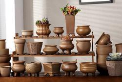 给大家聊一聊花盆如何选择