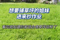 江浙沪地区草坪品种如何来选择