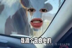 深扒网红“毒营养土”黑幕：月销10万单的浙大创业公司，如何把工业污泥卖进千万家庭？