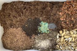 月季盆土配制必学的知识