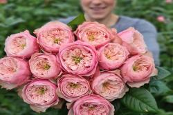 诺桑格修道院Northanger Abbey