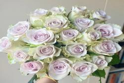 中国的鲜花产地主要有哪些