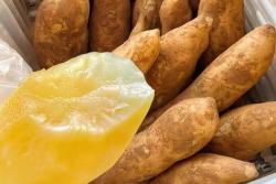 雪莲果有什么功效和作用