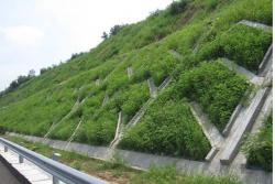 植草护坡包工包料多少钱？